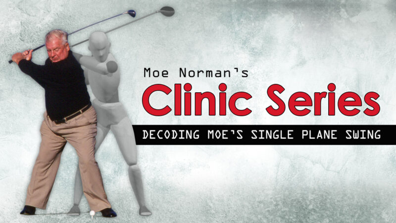 MN Clinic Series - Decoding Moe (Online Course)